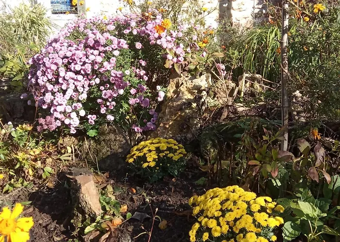 Le Clos Du Buisson *